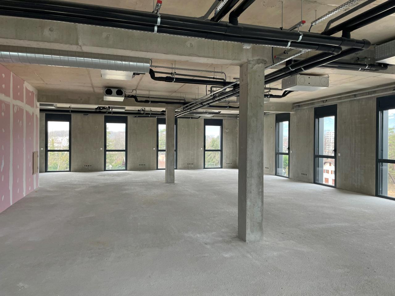 Bureau Ferney-Voltaire 407m² Location bureau Ferney-Voltaire Ain OLBUR2200111 6